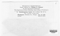 Image Associated With the Occurence